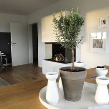 Alter Was Ein Luftchen Da Draussen Ich Bin Gerade Mit Dem Hund Fast Weggeflogen Um So Geiler Jetzt Den Wenigen Wohnraum Der Gerad Mini Pool Decor Home Decor