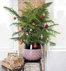 See more ideas about christmas urns, christmas planters, outdoor christmas. The Four Best Alt Christmas Trees Chicago Magazine