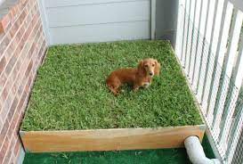 Shop chewy's sizzling summer savings for up to 40% off beds, litter, leashes & more. Living In Urban Areas Can Be Stressful More Often Than Not Unfortunately We Are Not The Only Ones Who Have To Pay The T Dog Grass Box Dog Potty Diy Dog