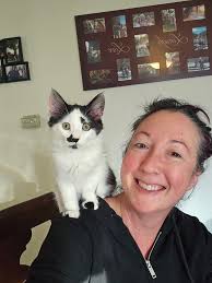 Let's welcome our new members! Feel free to post a picture of your cat(s)  in the comment section! Kayla Nguyen, James Gonzalez, Matuszak Karentom,  Zosia Sapiechowska, Leah Carroll Jones, Anne Ryan-Fricke, Kendal