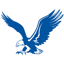 By spłürgē · updated about 2 years ago. What Is American Flyers