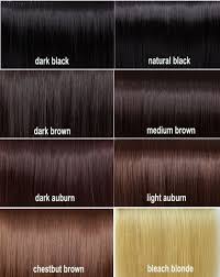 Beautiful Dark Brown Hair Color Chart Hair Lovely Dark