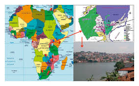 Image result for Kotschya africana