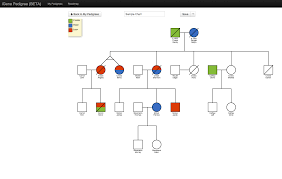 40 No Problem How To Draw Pedigree