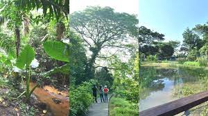 Legoland windsor resort (/ ˈ l ɛ ɡ oʊ. There S A New Nature Park In Upper Thomson You Can Go To For A Fun Free Day Out Mothership Sg News From Singapore Asia And Around The World