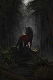 Wolf wallpapers, backgrounds, images 240x320— best wolf desktop wallpaper sort wallpapers by: Wolf Telefon Wallpaper Wolf Wolfshund Tschechoslowakischer Wolfshund Nordlicher Inuit Hund Gronlandhund Tierwelt 1442085 Wallpaperkiss
