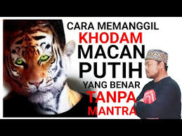 Jin wanita itu bersedia membantu si pemuda dengan kekuatan ghaibnya. Cara Benar Memanggil Khodam Macan Putih Tanpa Mantra By Tauhid Metafisik