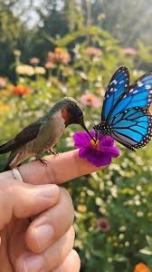 Donna Puga (@donna.puga.2025) • Facebook