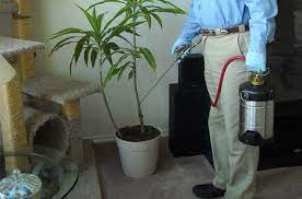 Owned and operated by ricky g. 1st Choice Pest Control Termite Control Paris Tx