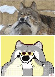 Turn That Frown Upside Down Https Ift Tt 2vejsds Funny Animal Pictures Cute Funny Animals Funny Comics