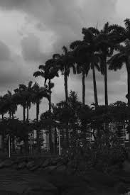 Wallpaper Black And Picture Image 6366587 On Favim Com