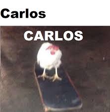 Chicken animals cute art photography humor beautiful qwertz. Can We Get Some Appreciation From Our Friend Chicken In A Skateboard Carlos Memes