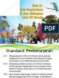 Perbezaan utama antara hutan hijau dan daun runcing adalah corak daun penumpahan. 5 6089399705941311701