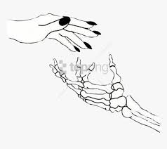 In this video we'll show you how to draw a reaching out hand in perspective. Reaching Up Toppng Simple Skeleton Hand Drawing Transparent Png Kindpng