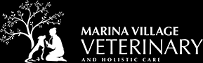 Alameda pet hospital is the only place we'll bring a future pet. Veterinarian In Alameda Vet Near You Marina Veterinary Integrative Care