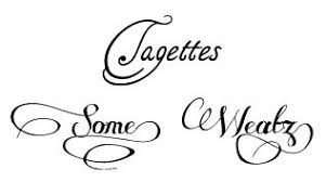 Free Calligraphy Fonts For Wedding Invitations Tagettes Www Dafont Com Tagettes Font And Wedding Invitation Fonts Calligraphy Fonts Calligraphy Script Fonts