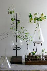 30 Creative Diy Ways To Show Off Your Plants Plants Natural Home Decor Indoor Plants