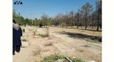 Image result for ‫جریان قطعه ۴۱ بهشت زهرا‬‎