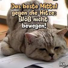 Die besten tipps gegen was tun bei hitze? 100 Heiss Ideen In 2021 Hitze Lustig Lustige Bilder Gif Bilder Lustig