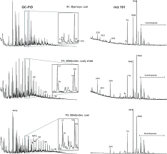 The measurement of ion per unit time make this a mass sensitive instrument. Gas Chromatography Flame Ionization Detection Gc Fid Traces Of Bulk Download Scientific Diagram