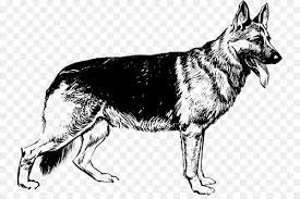 She's a master escape artist, however. German Shepherd White Shepherd Puppy Shiloh Shepherd Dog Clip Art German Shepherd Png Black And White Transparent Images Free Png Images Vector Psd Clipart Templates