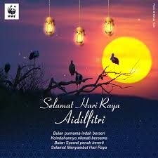 This is selamat hari raya aidilfitri 2015 by madatv on vimeo, the home for high quality videos and the people who love them. Wwf Malaysia On Twitter Selamat Hari Raya Aidilfitri To Everyone Celebrating The Festival And Wishing Everybody Safe And Happy Holidays