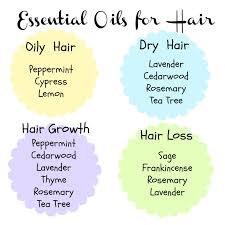 How to mix essential oils with carrier oils for hair. Essential Oils For Hair Growth Galhairs