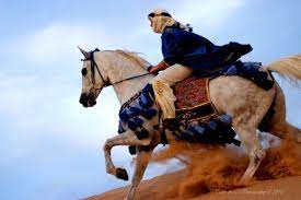 سياحة في حديث ولقد شكوت إليه أني لا أثبت على الخيل فضرب بيده beautiful arabian horses most beautiful horses horse costumes