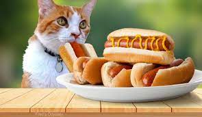 Fred S Competitive Edge Is To Get The Buns Cat Spitty First Hot Dog Buns Dog Bun Bun