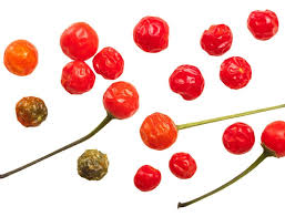 The most popular name in all over the country is chile piquin. Niveles De Picor En Los Chiles Mas Populares De Mexico Gourmet De Mexico