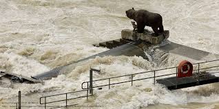 Zu hochwasser (hoher wasserstand von gewässern) und. Universitat Bern On Twitter Uberschwemmungen Wie Die Von 2005 Mochte Man In Der Schweiz Nicht Mehr Erleben Prof Em Rolf Weingartner Unibern Erklart In Srfmyschool Wie Der Hochwasserschutz In Der Schweiz Funktioniert