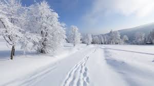 Транскрипция и произношение слова snow в британском и американском вариантах. 8 Beautiful Snow Scenes From Literature Mental Floss