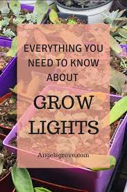 Maybe you would like to learn more about one of these? Grow Light Talk Angel S Grove Grow Lights For Plants Grow Lights Indoor Grow Lights