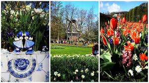 Co roku samych tulipanów wyrasta u nas ponad 2 mln. Ogrody Keukenhof I Festiwal Tulipanow W Holandii Zobacz Kiedy Jechac