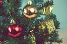 So wird sichergestellt, dass die schüttungen der müllfahrzeuge nicht blockiert werden. Weihnachtsbaum Richtig Entsorgen Umwelt Bussgeldkatalog