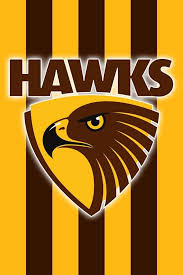 The fitzroy football club is an australian rules football club currently competing in the victorian amateur football association (vafa). Aflfreohawks Hawthorn Hawks Hawthorn Football Hawthorn Football Club