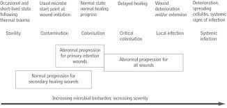 Wound Bed Preparation And The Time Principles