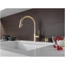 Misting my lusidia discolor jewel orchid philodendron brandtianum. Delta Faucet Trask Pull Down Single Handle Kitchen Faucet Soap Dispenser Champagne Bronze Fennell Gage Home Hardware