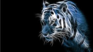 Find white aesthetic wallpapers hd for desktop computer. Black And White Tiger Wallpapers Group 71