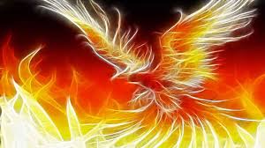 Phoenix Bird Wallpaper Hd Pixelstalk Net If you see some phoenix bird wallpaper hd you'd like to use, just click on the image to download to your desktop or mobile devices. phoenix bird wallpaper hd pixelstalk net