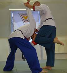 In western writings sometimes spelled pentjak silat or phonetically as penchak silat) is an umbrella term for a class of related indonesian martial arts. Kidojo Tubingen Pencak Silat Panca Indra Suc