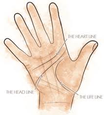 When there is a short line parallel to the broken lifeline or when a square connects the broken parts of the life line that is a good sign, indicating that. The Future Is In Your Hands