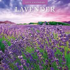 Red Robin 2025 Lavender Monthly Wall Calendar