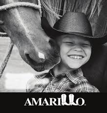 City Council hears audit report