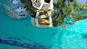 The southernmost inn, key west. The Southernmost Inn Key West Fl April 2016 Youtube