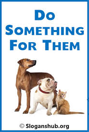 63 Best Animal Shelter Slogans Taglines