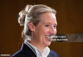 54 Alice Stein Stock Photos, High-Res Pictures, and Images