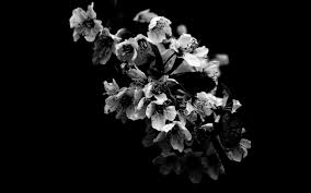 Check spelling or type a new query. 1100 4k Black And White Wallpapers Download Free Backgrounds
