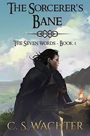 Best reviews guide analyzes and compares all christian books for young adults of 2021. The Sorcerer S Bane The Seven Words 1 By C S Wachter