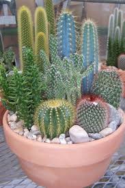 Decora este salón de clases para que los niños sean más atentos en clase. Atrevete Con Los Cactus 15 Inspiradoras Decoraciones Para Patios Y Terrazas